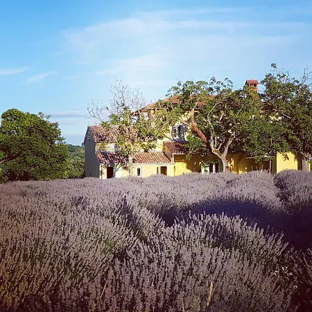 Holiday home Bellevue